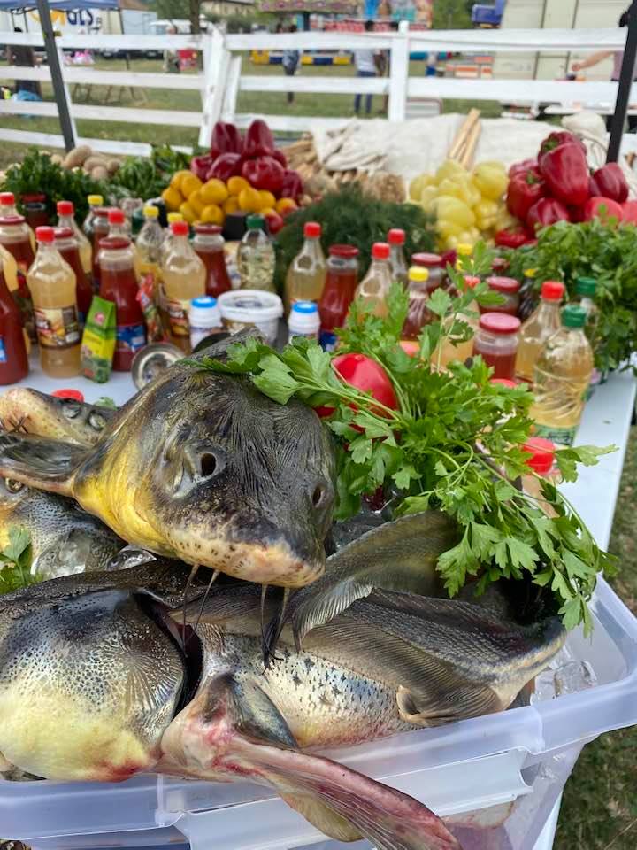 Comuna Mihăești